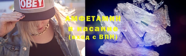 шишки Алексин