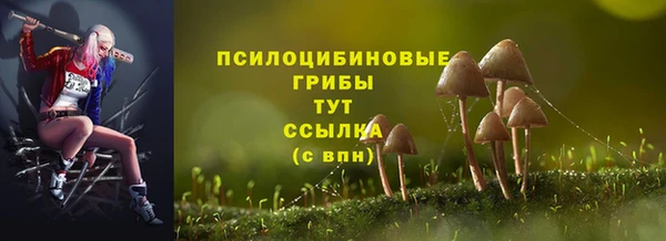 экстази Арсеньев
