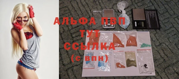экстази Арсеньев