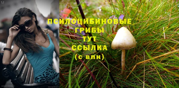 ECSTASY Алзамай