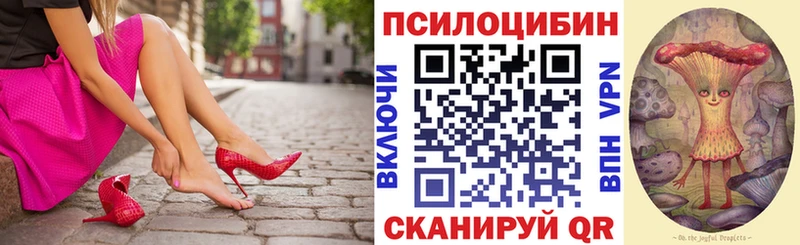 кракен онион  Бабушкин  Галлюциногенные грибы прущие грибы 